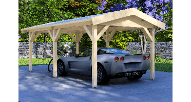 Carport 300x600 cm zadeldak- Zadeldak- - Van Kooten - Van Kooten