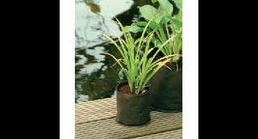 Waterplantzak rond 15 cm