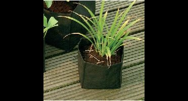 Waterplantzak vierkant 18 cm