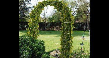 Pro Garden Rozenboog - Voor Klimrozen En Andere Klimplanten! ...