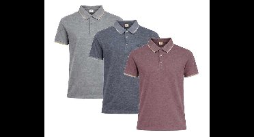 Polo Alessio Button Up