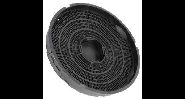 Koolstoffilter voor Faure Type 30 / E3CFE30
