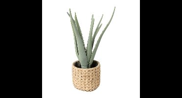 Kunstplant aloe vera - 33 cm