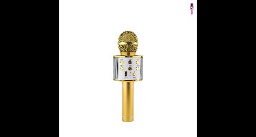 Microfoon karaoke - diverse kleuren - ø7x22.5 cm