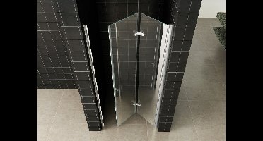 Xellanz vouwbare nisdeur 1000x2000 rechts 8mm NANO glas