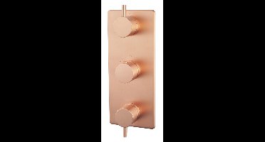 Xellanz Caral afbouwdeel inbouwthermostaat 3 weg geborsteld koper